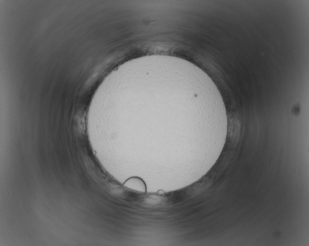 X0000115830718200912241956