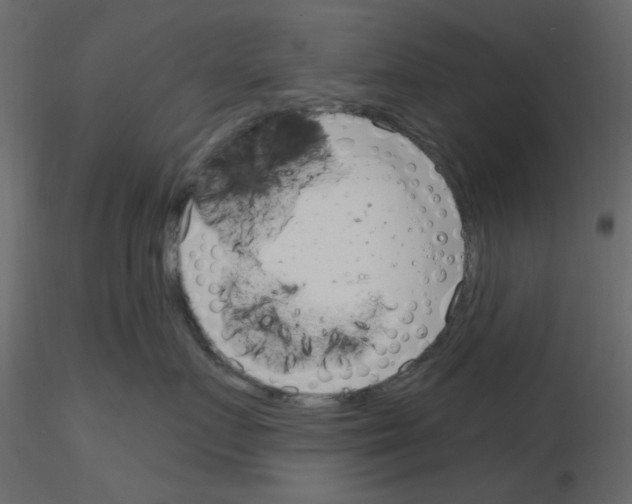 X0000115830719200912241956