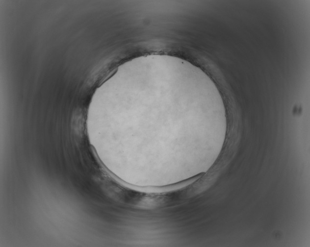 X0000115830720200912241956