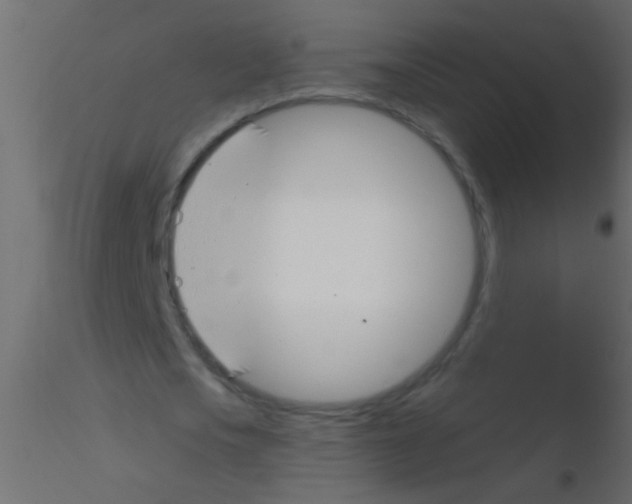 X0000115830721200912241955