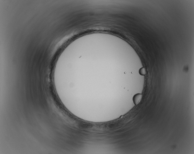 X0000115830727200912241955