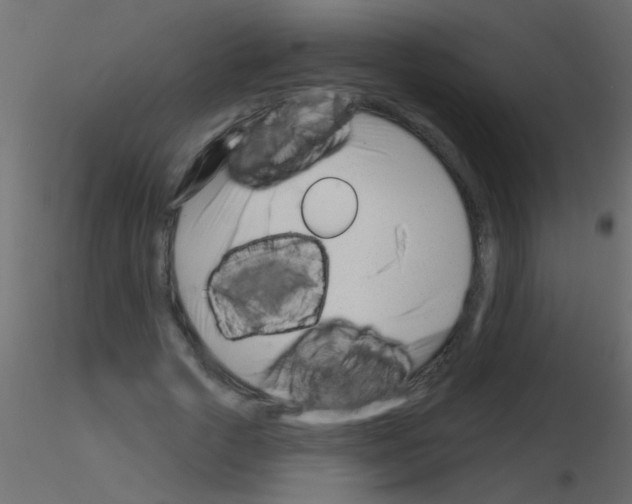 X0000115830729200912241955