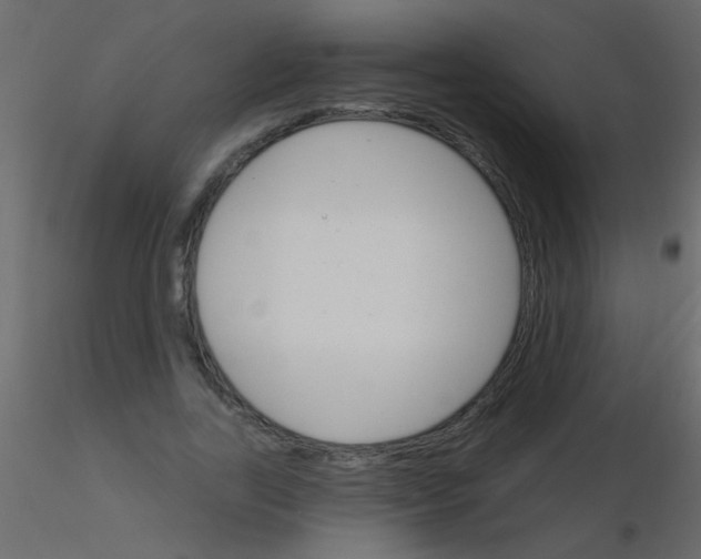 X0000115830731200912241955