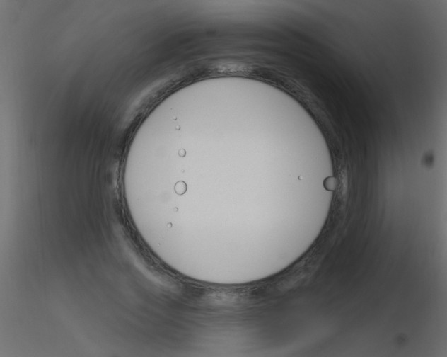 X0000115830733200912241955