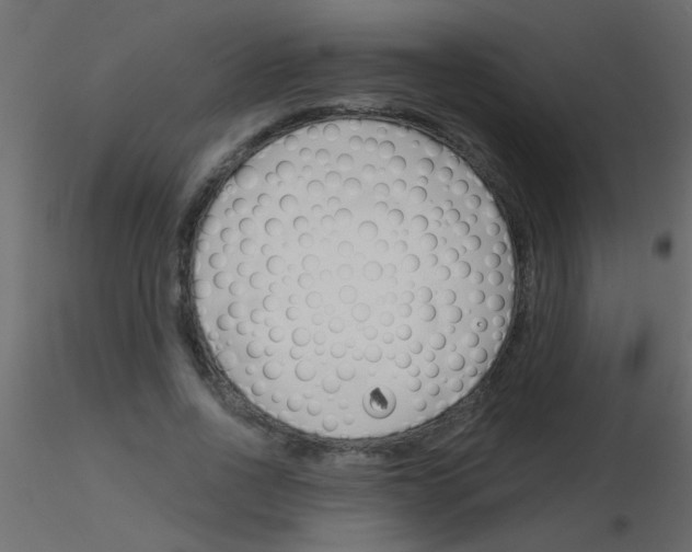 X0000115830734200912241955