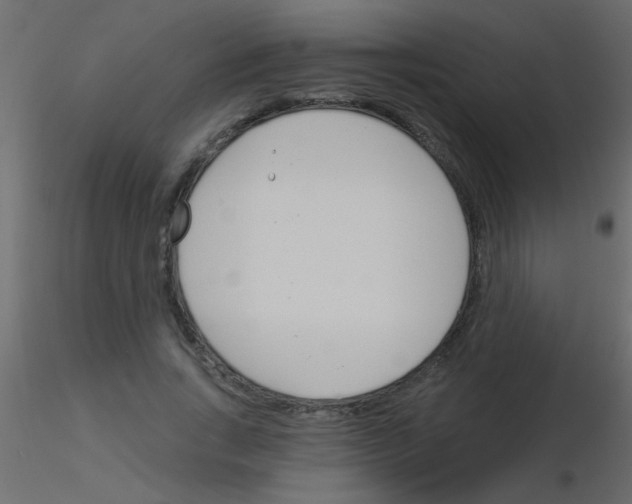 X0000115830735200912241955