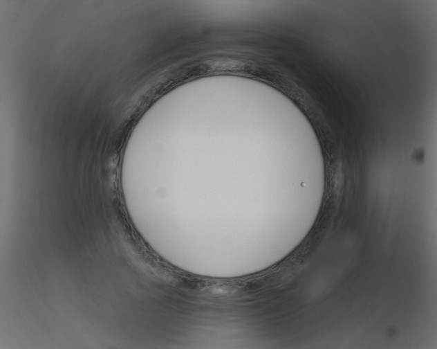 X0000115830737200912241955