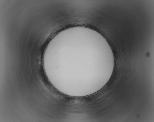 X0000115830739200912241955