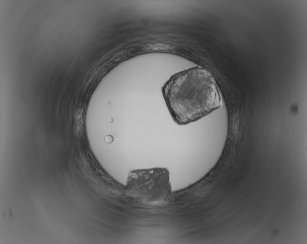 X0000115830741200912241955