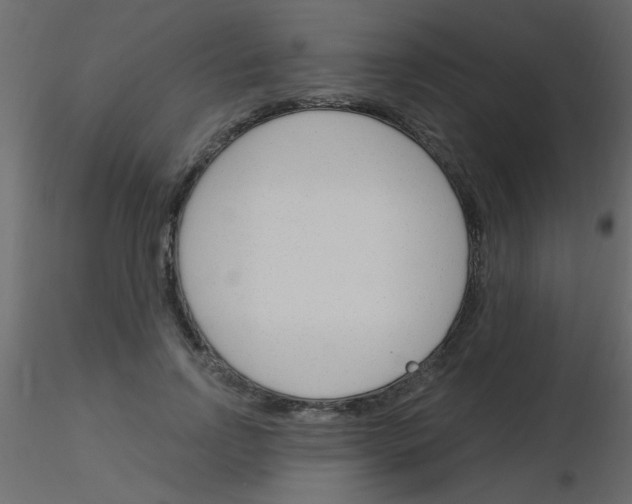 X0000115830742200912241955