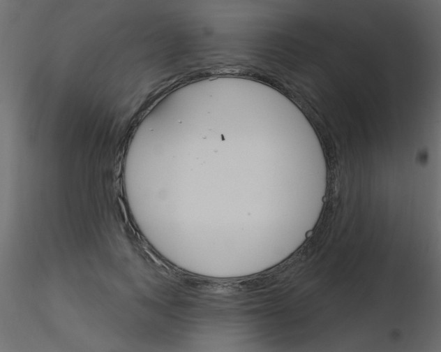 X0000115830743200912241955