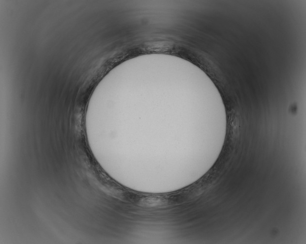 X0000115830745200912241955