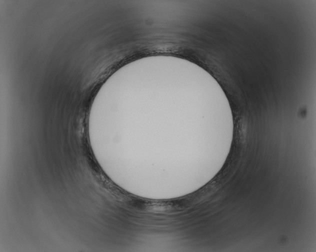 X0000115830746200912241955