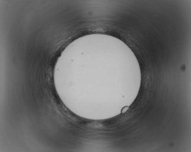 X0000115830747200912241955