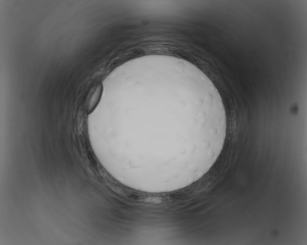 X0000115830751200912241955