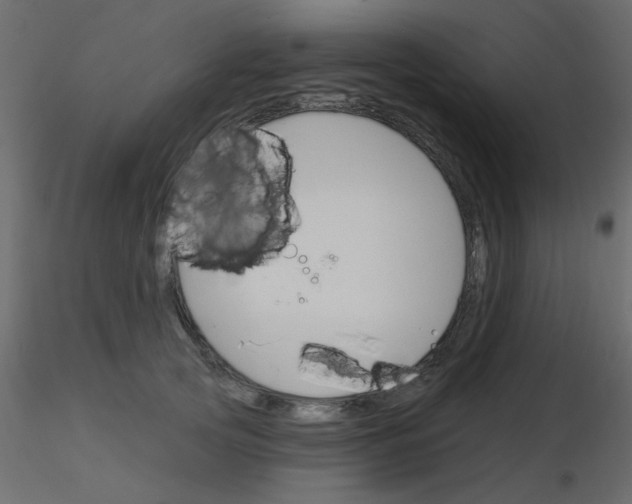 X0000115830753200912241955