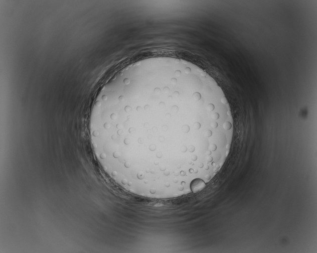 X0000115830755200912241955