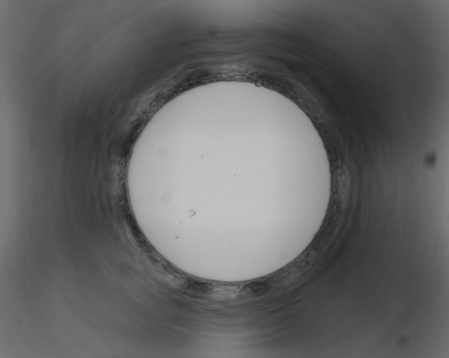 X0000115830757200912241956