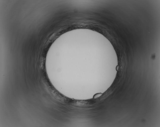 X0000115830758200912241956