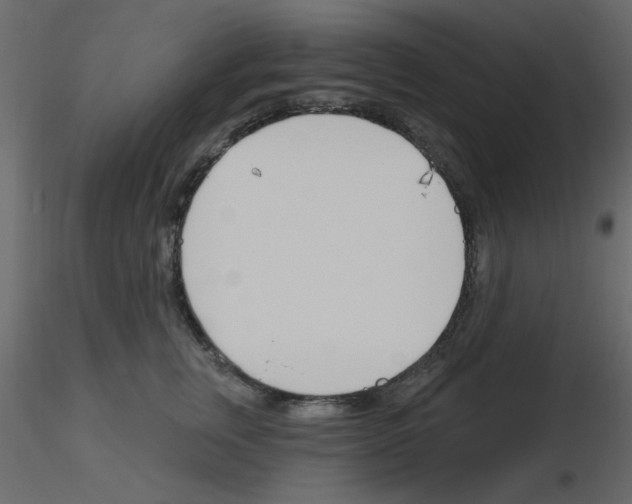 X0000115830759200912241956