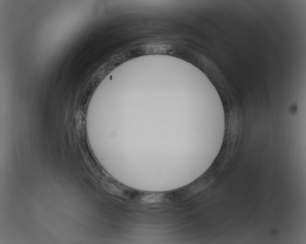 X0000115830761200912241956