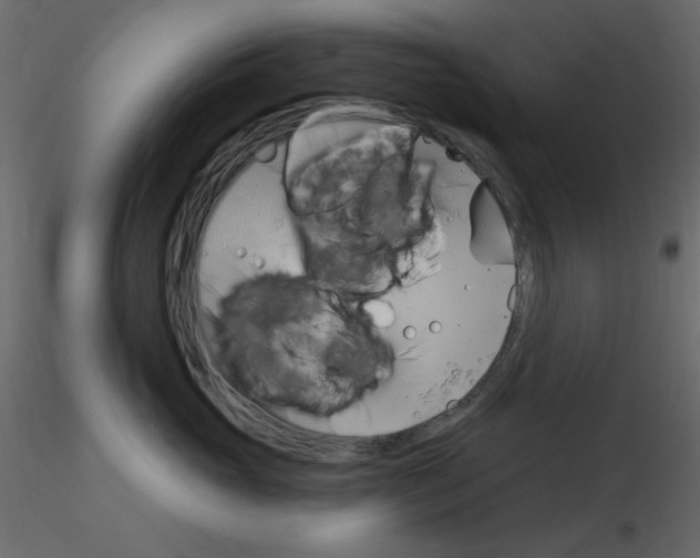 X0000115830765200912241956