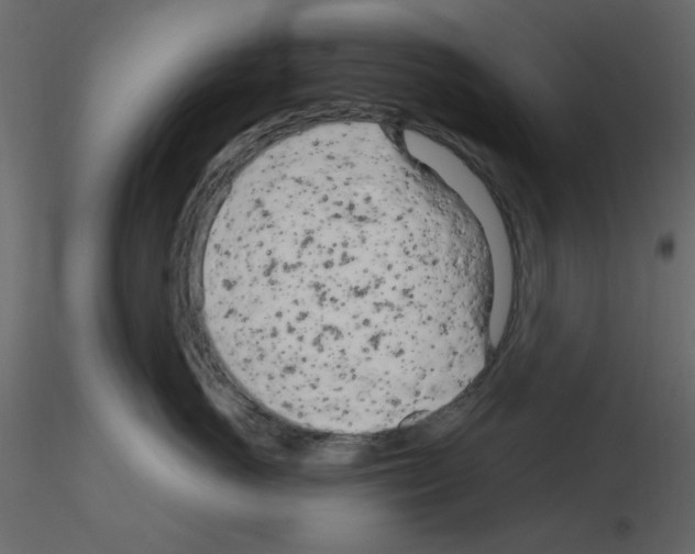 X0000115830766200912241956