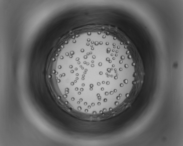 X0000115830767200912241956