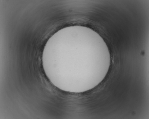 X0000115830771200912241955