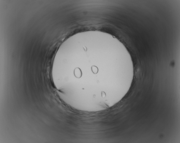 X0000115830772200912241955