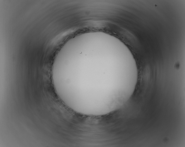 X0000115830773200912241955