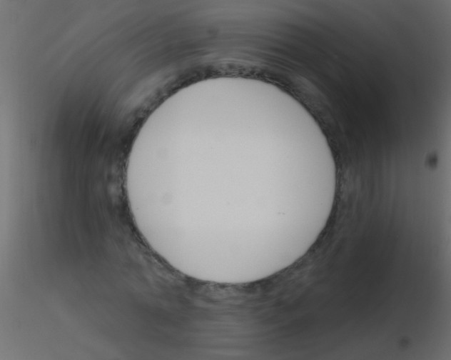 X0000115830774200912241955