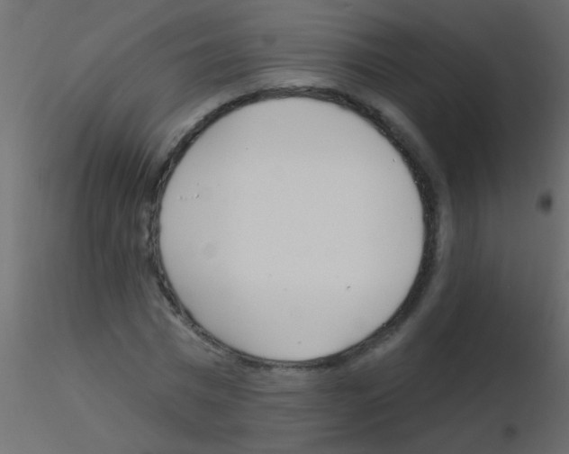 X0000115830777200912241955