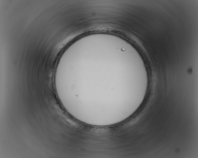 X0000115830778200912241955