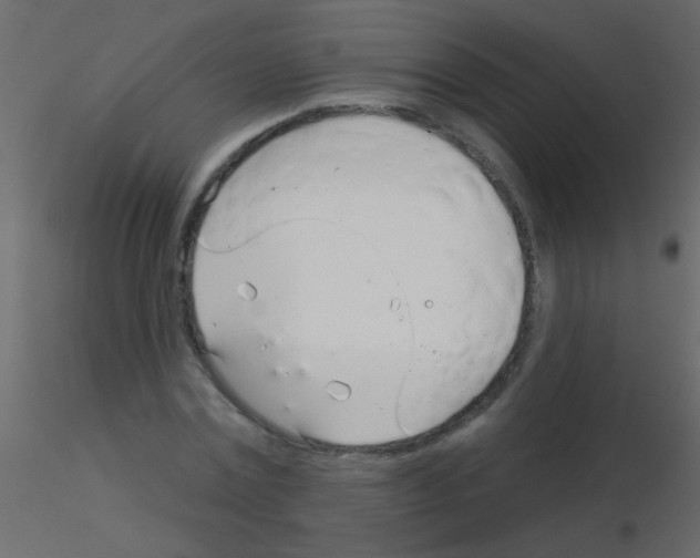 X0000115830779200912241955