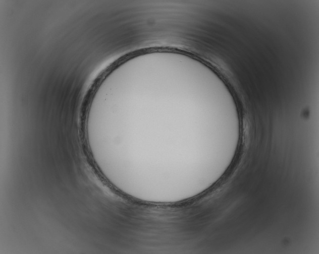 X0000115830780200912241955