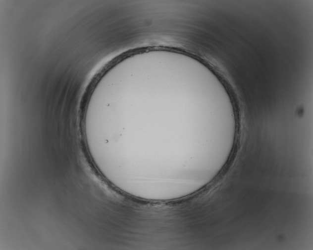 X0000115830784200912241955