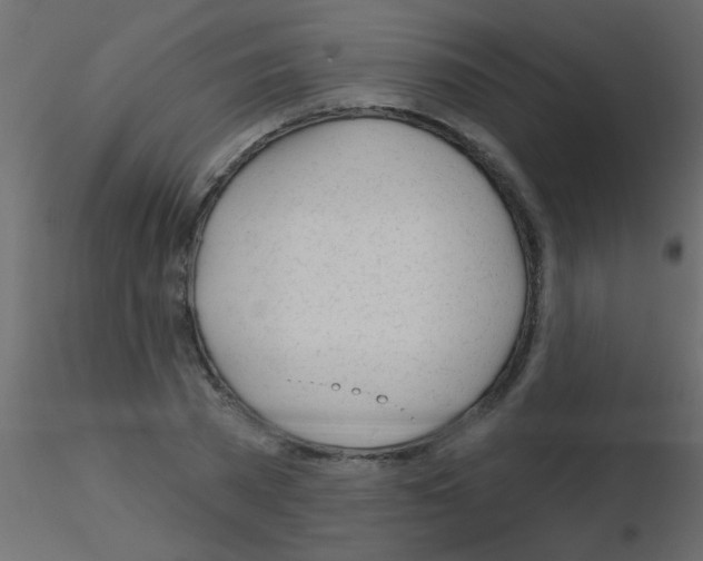 X0000115830785200912241955