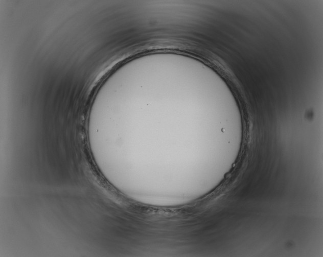 X0000115830786200912241955