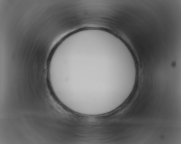 X0000115830787200912241955