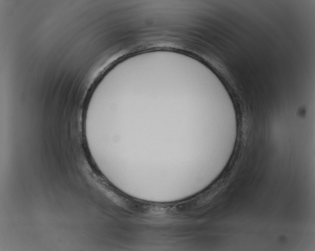 X0000115830790200912241955