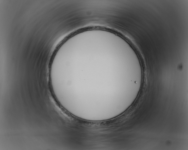 X0000115830791200912241955