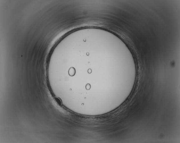 X0000115830792200912241955