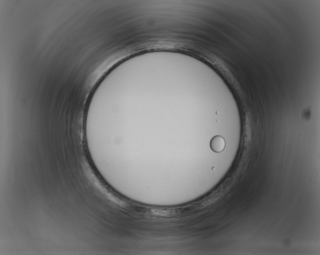 X0000115830794200912241955