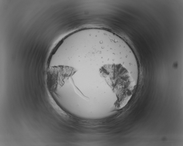 X0000115830795200912241955