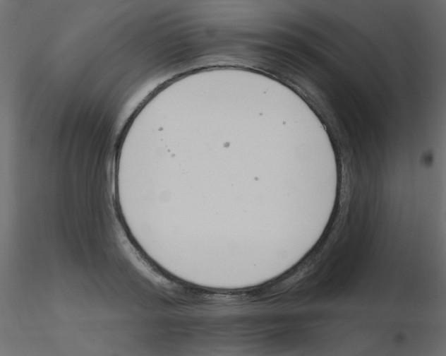 X0000115830796200912241955