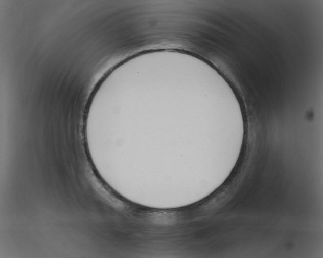 X0000115830797200912241955