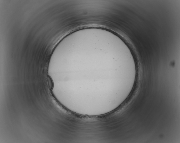 X0000115830801200912241955