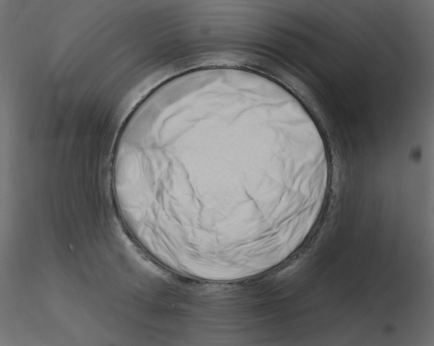 X0000115830802200912241955