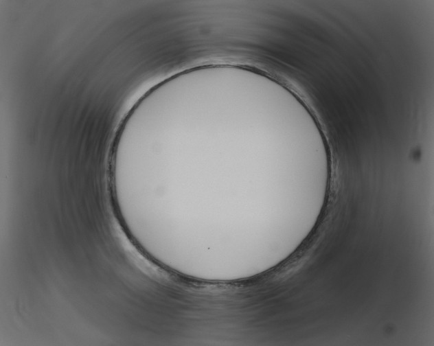 X0000115830803200912241955